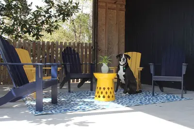 Image de Baxter's House- Pet Friendly with Covered Boat Parking; 15 mins to Beach/ D-Town