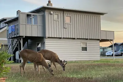 Image de The Fishing Cabin at Lagoon Point