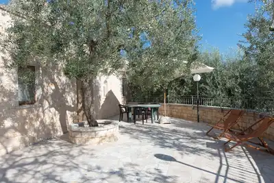Image de Olive Tree Hague Trullo