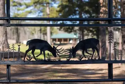 Image de Littlecreek: Rustic cabin get away.