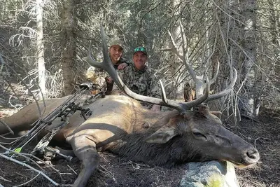 Image de Grizzly - Stunning mountain views on the Elk River