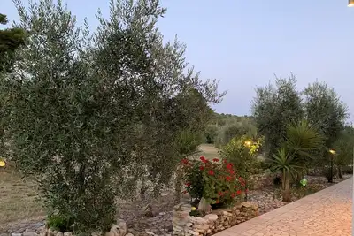 Image de Two-room apartment in a field of olive trees