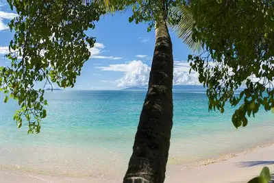 Image de Sous le soleil des Caraibes