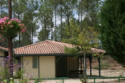 Image de Les Genêts - Brocas - Gîte