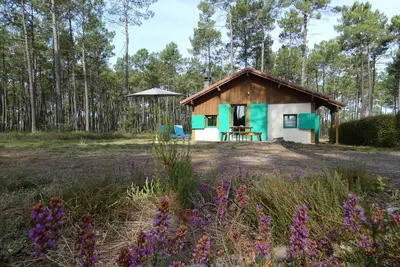 Image de Gîte Vert - Luxey - Gîte