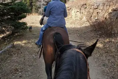 Image de Come camping on a 100 year old cattle ranch