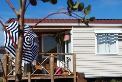 Image de Le martin pêcheur - Orist