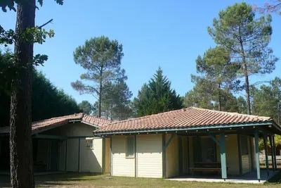 Image de Les Hélianthèmes - Brocas