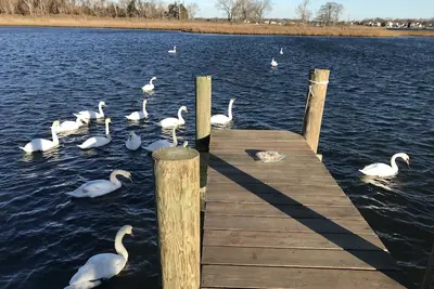 Image de Mastic Beach Designer Waterfront Retreat