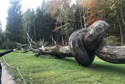 Image de Tridentum Apartment - Cipat - 022205-At-596533