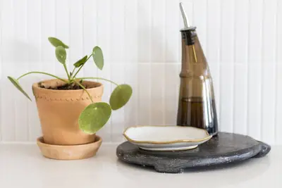 Image de El Woods - Byron Bay Hinterland