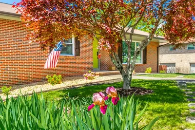 Image de Lookout Mtn View! Dog & Family friendly! Steam shower! 🐶⛰️