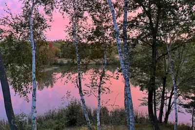 Image de In the heart of nature! Romantic getaway!