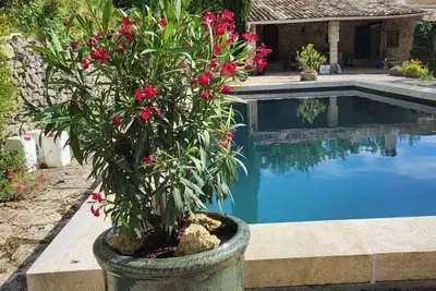 Image de En pleine foret