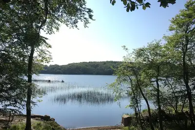 Image de Modernised cottage, panoramic lake views, private woodland walks along lakeside.