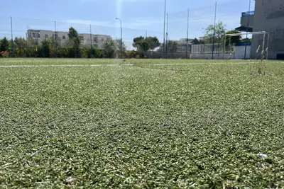 Image de Casa caretta caretta 🐢