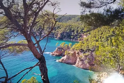 Image de T2-Bandol-Terrasse-Calme-Verdure-Spacieux