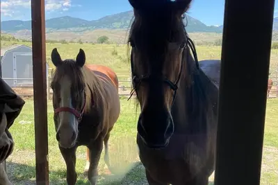 Image de Wonderful Montana experience with great views and horses! Yellowstone 25mi