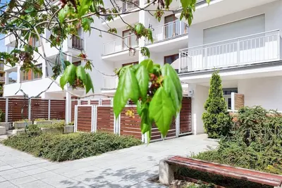 Image de Platan - Ch07a