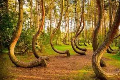 Image de Modern New Built Bungalow near George Town