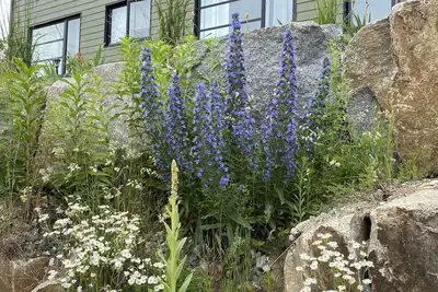Image de Wakefield Village Grand Condo