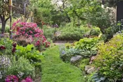 Image de Month long (30+ days only) Vacation Rental with Stunning Lake View.