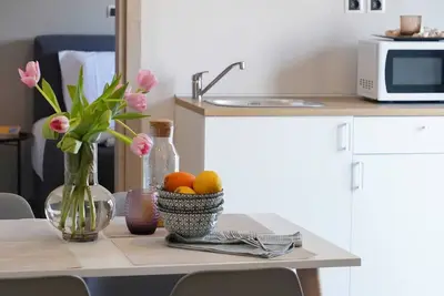 Image de Hibou vénitien, à 1 min du phare