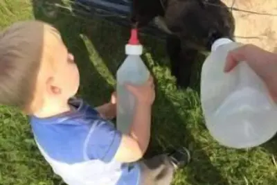 Image de Apartment 13 \"Holiday apartment Ziegenheim on the farm\"