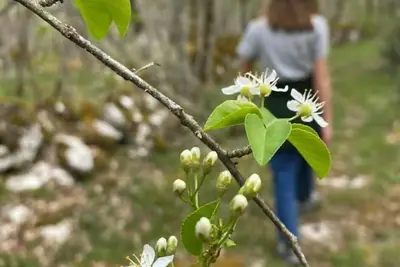 Image de Bergerie avec cuisine, piscine, jacuzzi, sauna