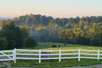 Image de Quiet farm stay, hike, mushroom hunt, see the animals, relax, so much more!