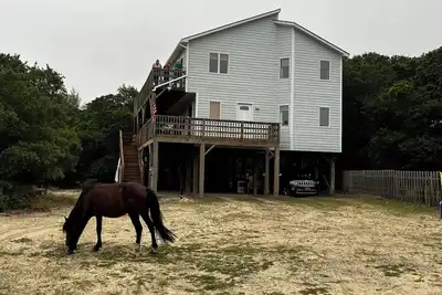Image de Sand and Stable - 4 Wheel Drive Only - Swan Beach