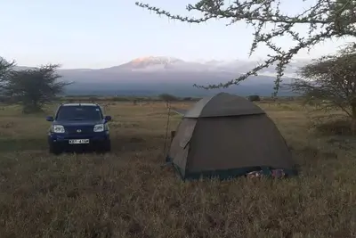 Camp David Amboseli