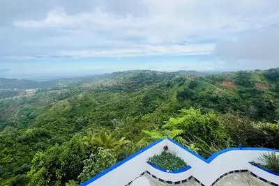 Image de Villa Verde Luz: A Virgin Forest (Pets Allowed)