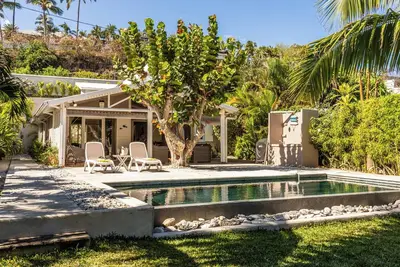 Image de Des Aigrettes