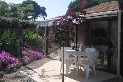 Image de Villa Entouree D'Un Jardin Arbore A La Mer A Vendres Plage