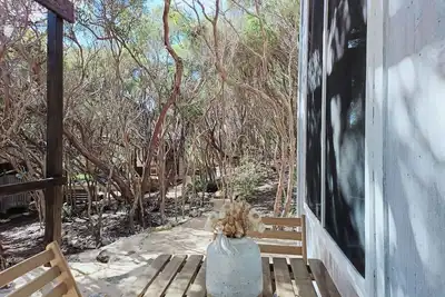 Image de Tranquil getaway amongst Melaleucas