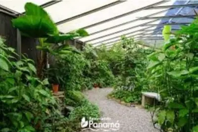 Image de East Mesa Home in City close to shopping Mall and Golf Resorts