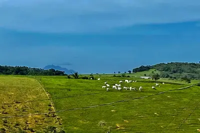 Image de Recanto Amarelos
