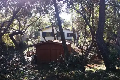 Image de Grande villa dans les 44 ha, proche de la pointe entre Bassin et Océan