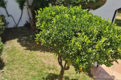 Image de For Rent Cosy House in San Juan de Capistrano