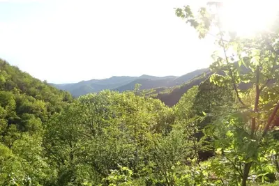 Image de Mas cévenol isolé dans un oasis de verdure