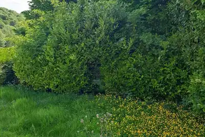 Image de Au domaine Cru