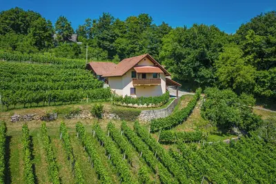 Image de Vineyard Cottage Ucman, Otočec, Slovenia