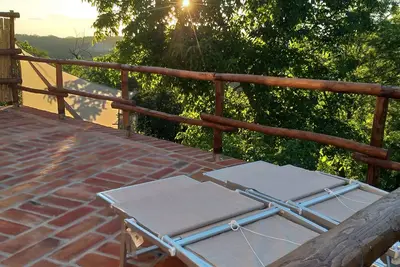 Image de The Hedgehog House