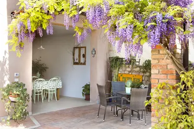 Image de The Green Porch