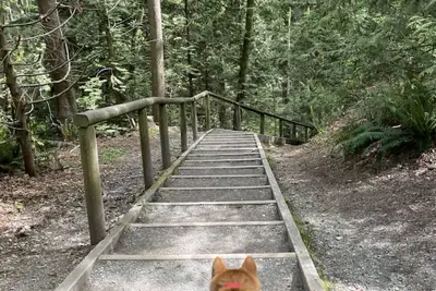 Image de Wem • Off-Leash Ravine for furry friends • 5-Br • Sleeps 15 • Oversized Double Garage • Air Conditioning