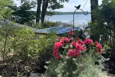 Image de Sunset River Cottage -The perfect waterfront getaway!