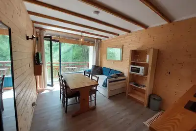 Image de Studio cosy avec balcon sud et animaux admis, proche pistes