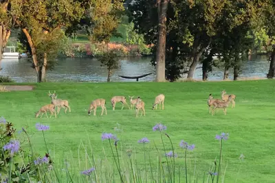Image de Fishing Cabin on the Sacramento River, dock provided
