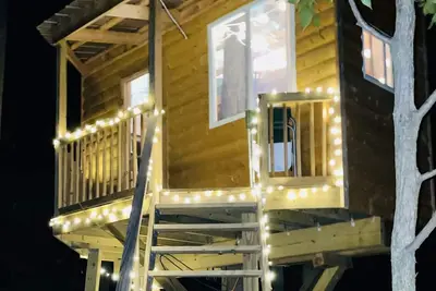 Immerse yourself with nature at this unique living tree-treehouse!